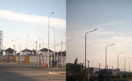 Сурет: Jambylinfo