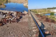 Сурет: Zakon