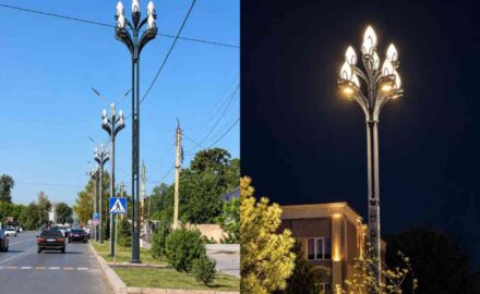 Сурет: Jambylinfo