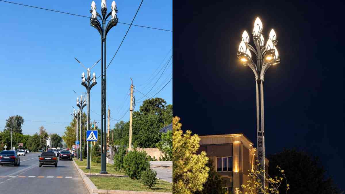 Сурет: Jambylinfo