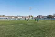 Сурет: Inform